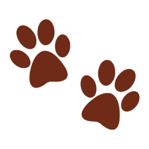 Pet Friendly