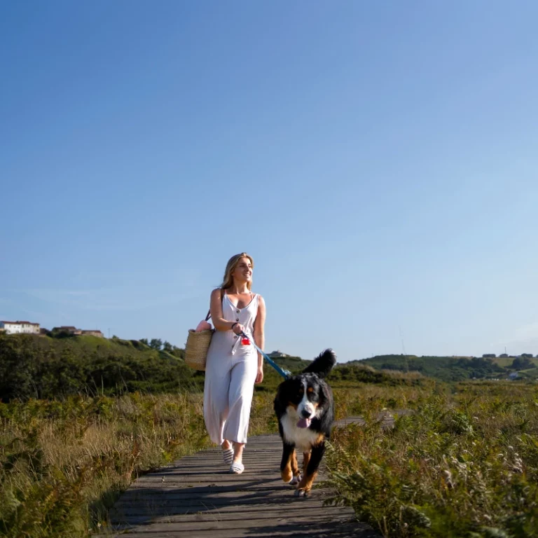 National Pet Month at Sonoma Coast Villa in Bodega, California