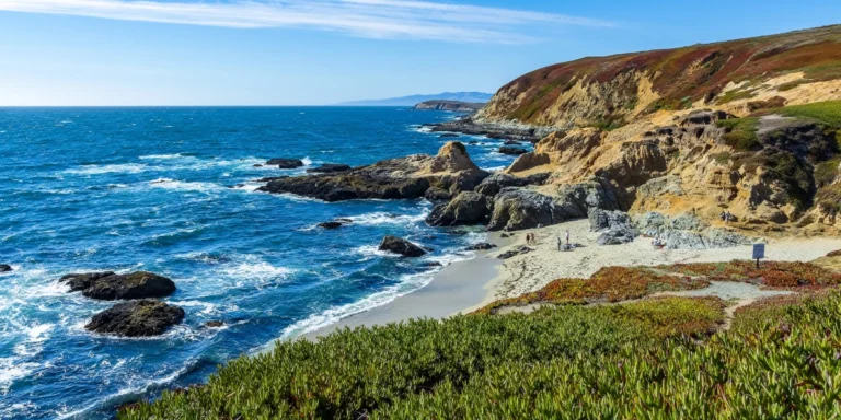 Celebrate Summer at Sonoma Coast Villa in Bodega, CA