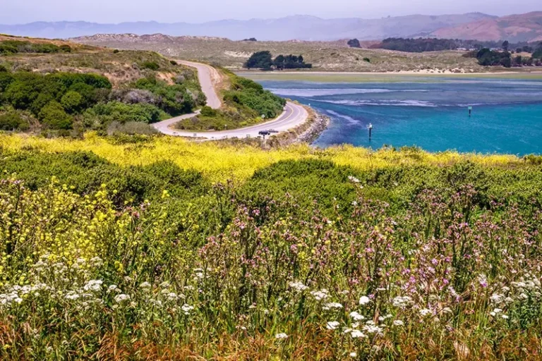 Sonoma Coast State Park