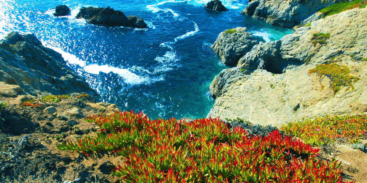 Bodega Bay Trailhead
