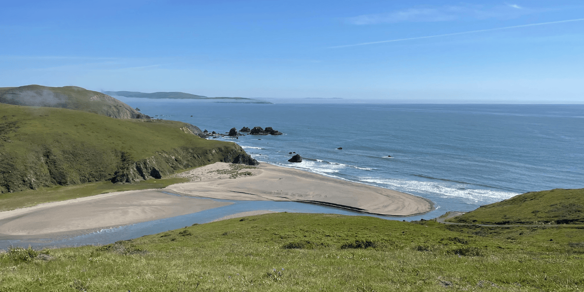 Estero Americano Coastal Preserve